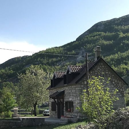 Lovcen Holiday Home Cetinje Exteriör bild