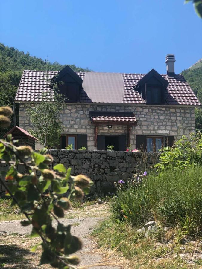 Lovcen Holiday Home Cetinje Exteriör bild