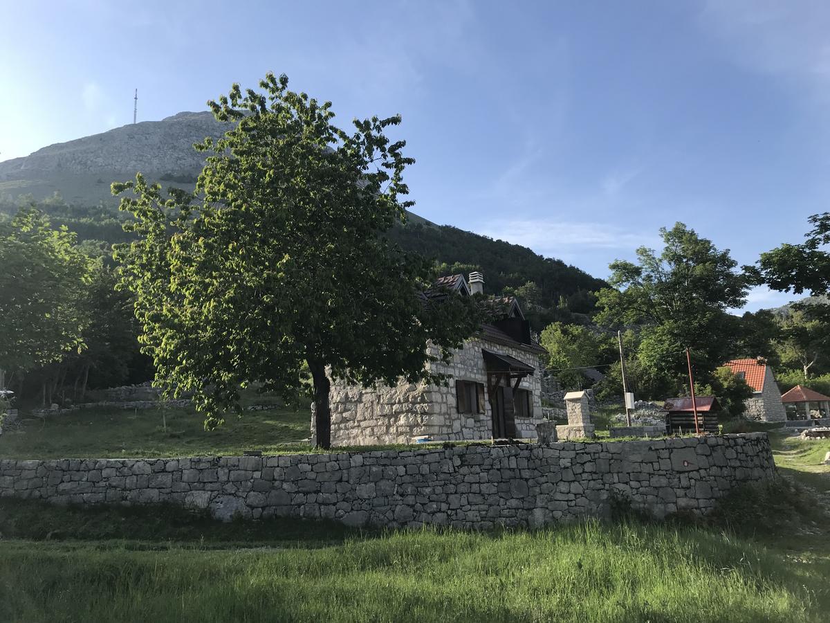 Lovcen Holiday Home Cetinje Exteriör bild